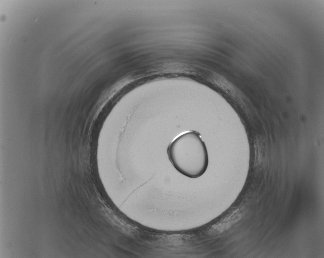 X0000062870828200601201752