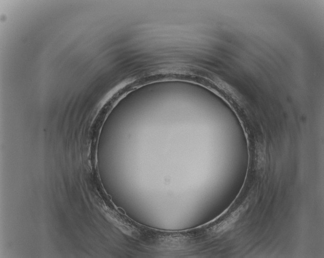 X0000062870830200601201752