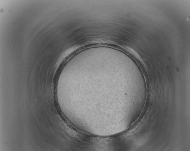 X0000062870831200601201752