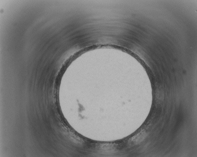 X0000062870832200601201752