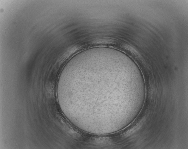 X0000062870833200601201752