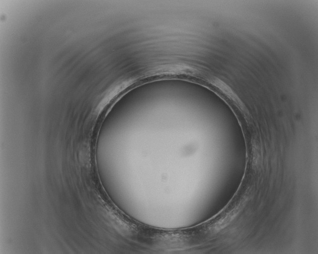 X0000062870834200601201752