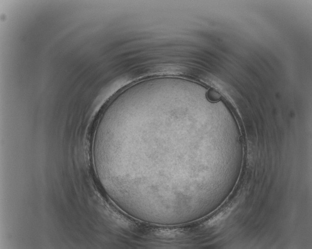 X0000062870835200601201752