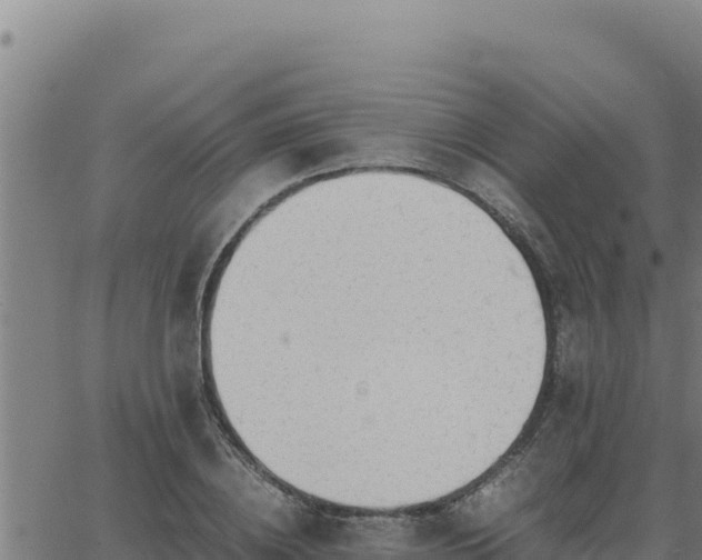 X0000062870836200601201752