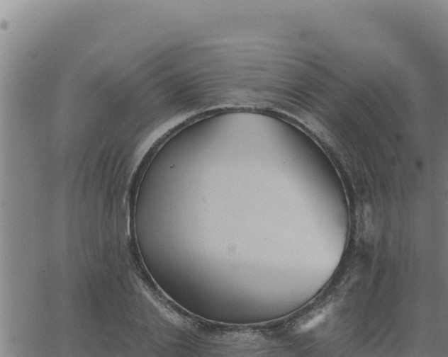 X0000062870838200601201752