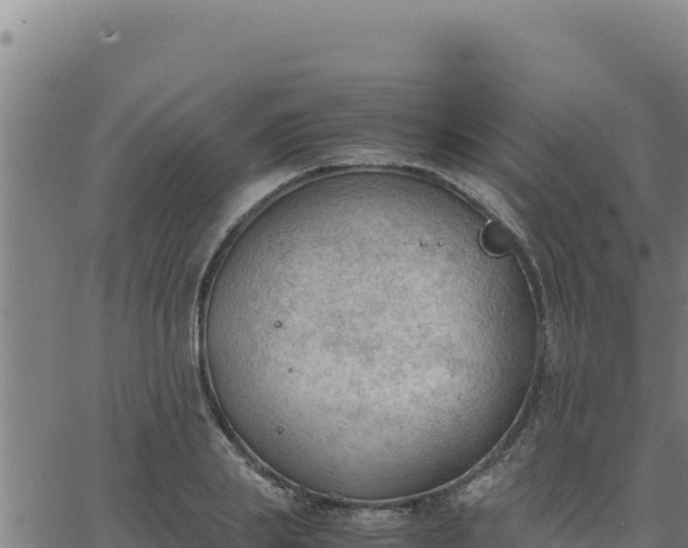 X0000062870839200601201752