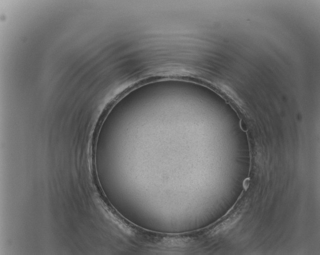 X0000062870840200601201752