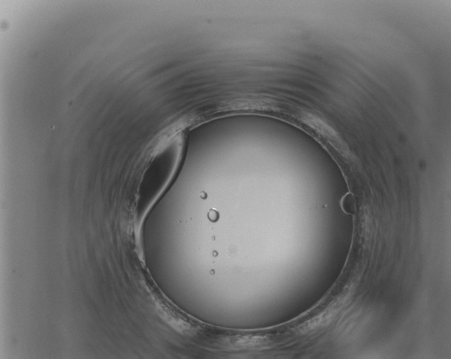 X0000062870841200601201752