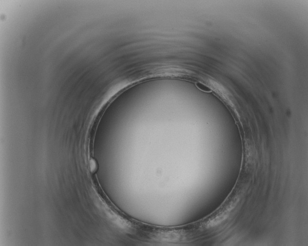 X0000062870843200601201752