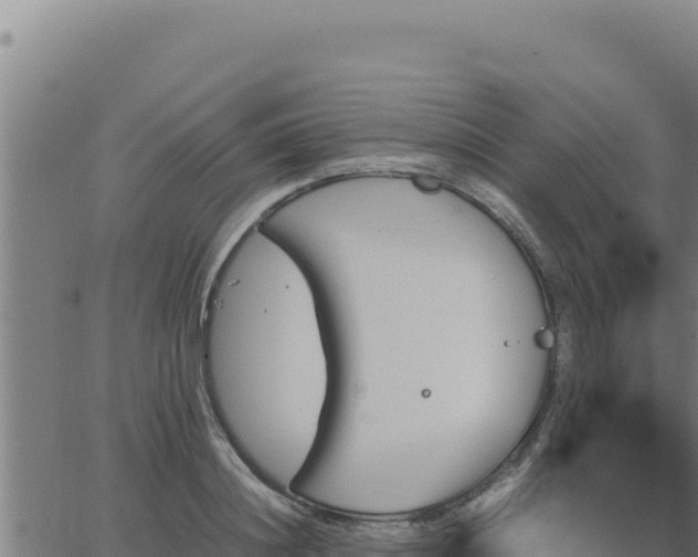 X0000062870844200601201752