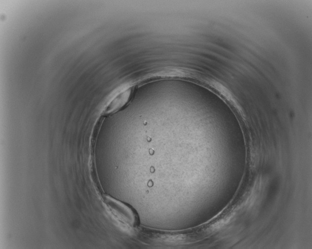 X0000062870845200601201752