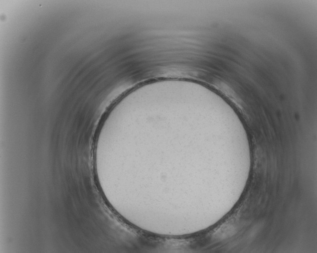 X0000062870848200601201752