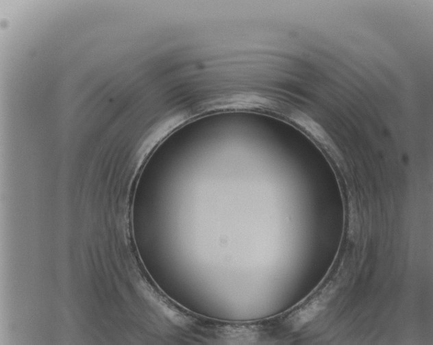 X0000062870850200601201752