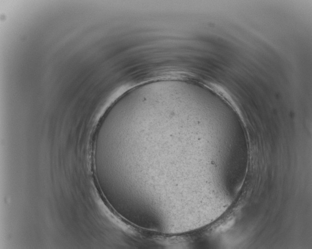 X0000062870851200601201752