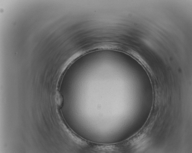 X0000062870853200601201752