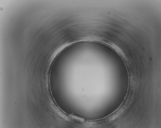 X0000062870854200601201752