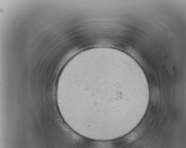 X0000062870856200601201752