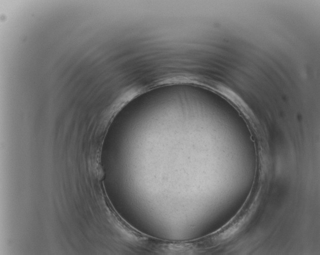 X0000062870857200601201752