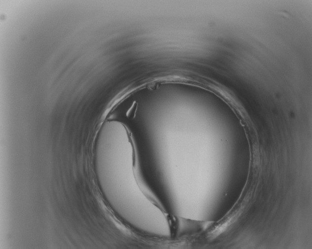 X0000062870858200601201752