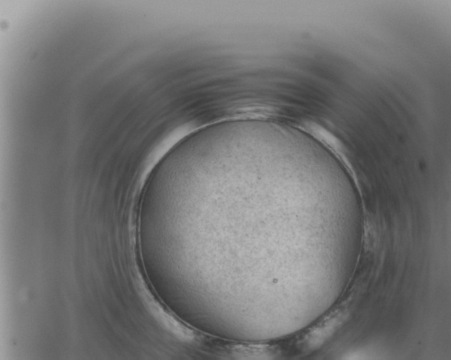 X0000062870859200601201752