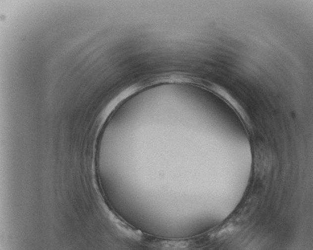 X0000062870861200601201752