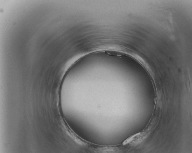 X0000062870862200601201752