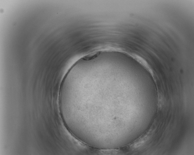 X0000062870863200601201752