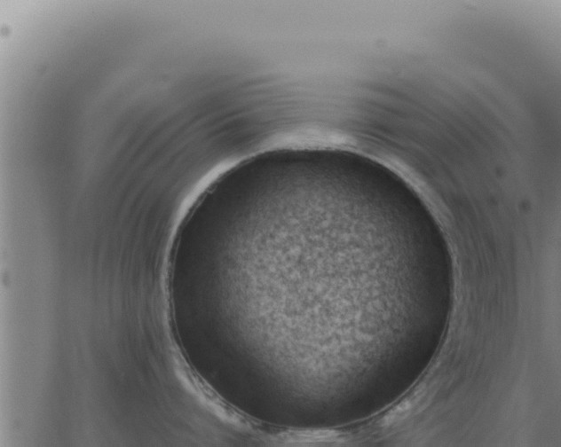 X0000062870864200601201752