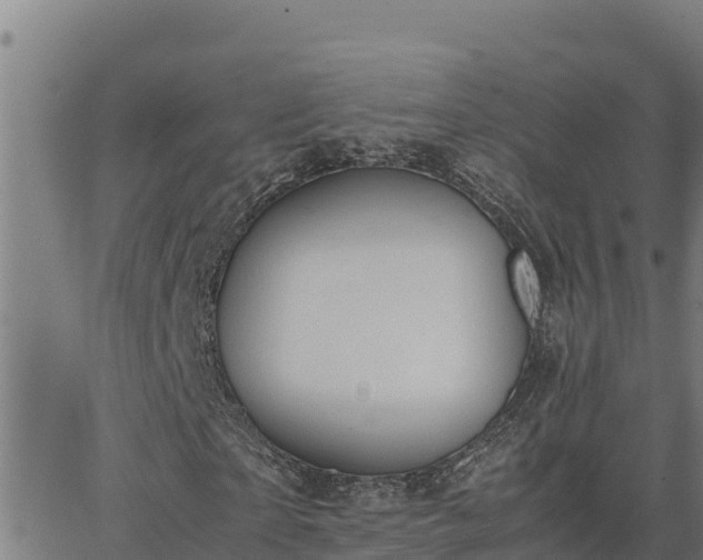 X0000062870865200601201752