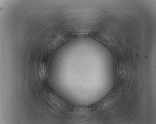 X0000062870866200601201752