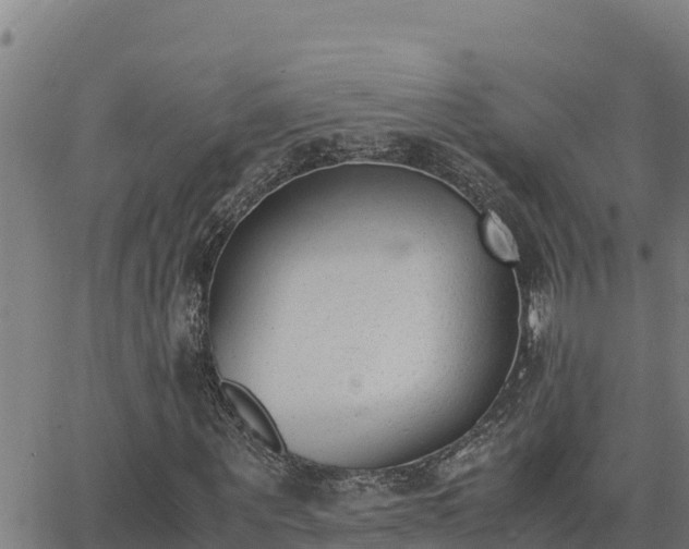 X0000062870867200601201752