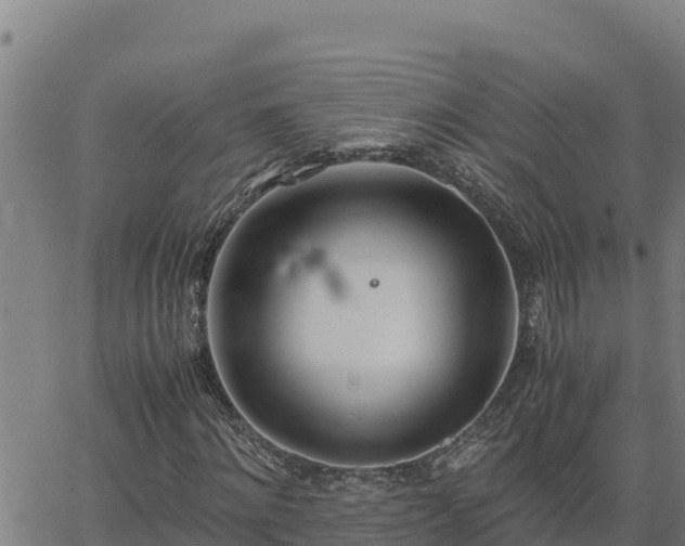 X0000062870868200601201752