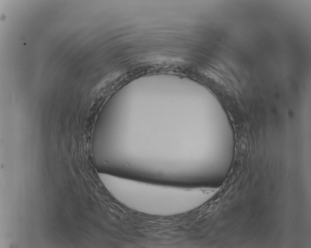 X0000062870869200601201752