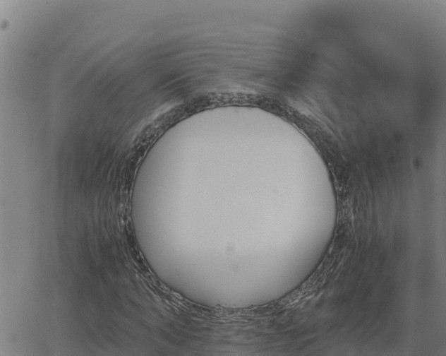 X0000062870870200601201752