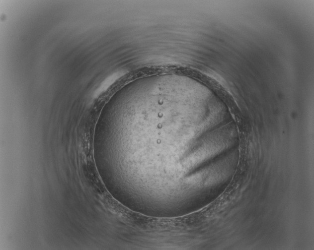 X0000062870871200601201752