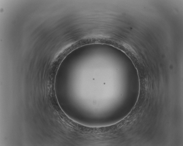 X0000062870872200601201752