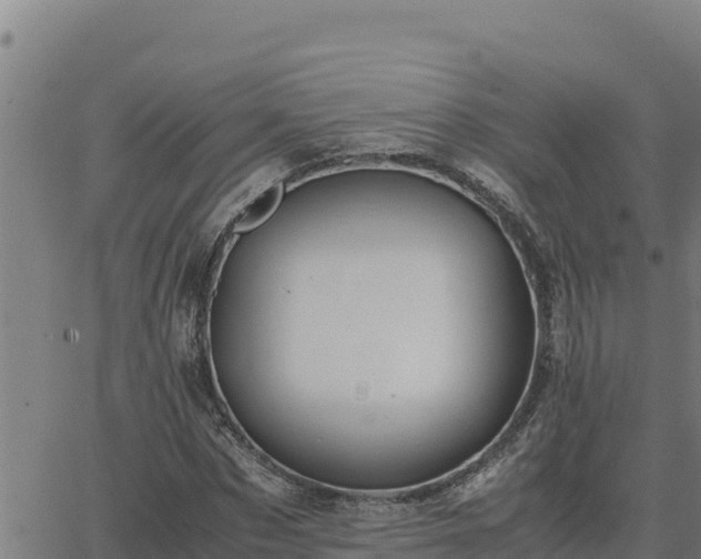 X0000062870873200601201752