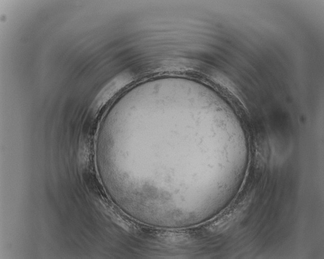 X0000062870874200601201751