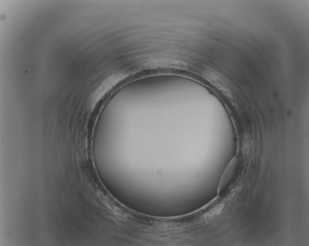 X0000062870877200601201751