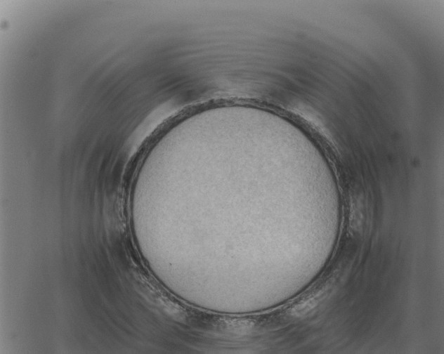 X0000062870878200601201751