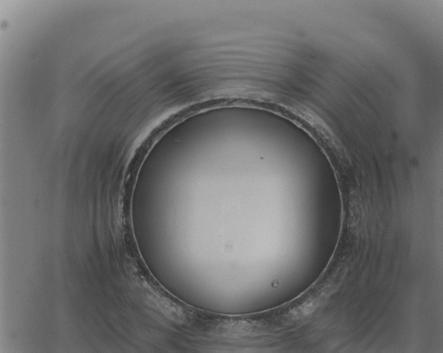 X0000062870880200601201751