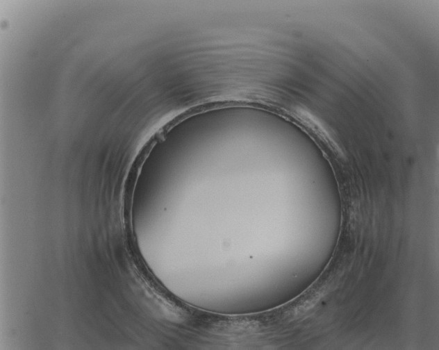 X0000062870884200601201751