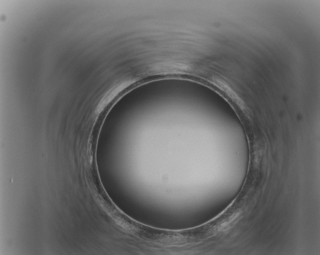 X0000062870885200601201751