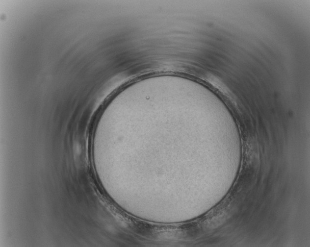 X0000062870886200601201751