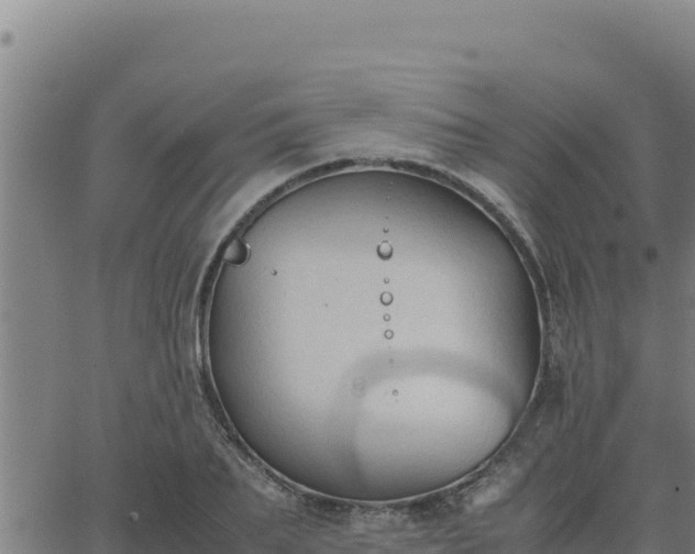 X0000062870887200601201751