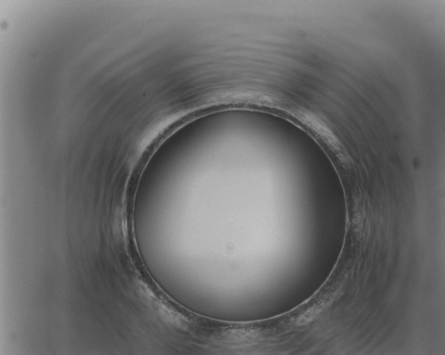 X0000062870888200601201751