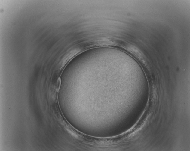 X0000062870889200601201751