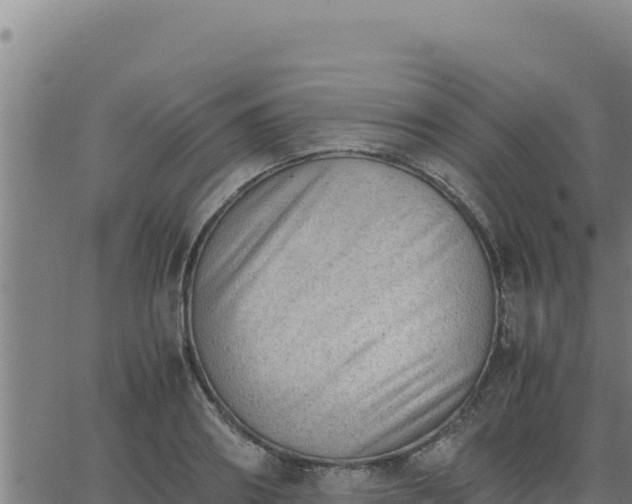 X0000062870890200601201751