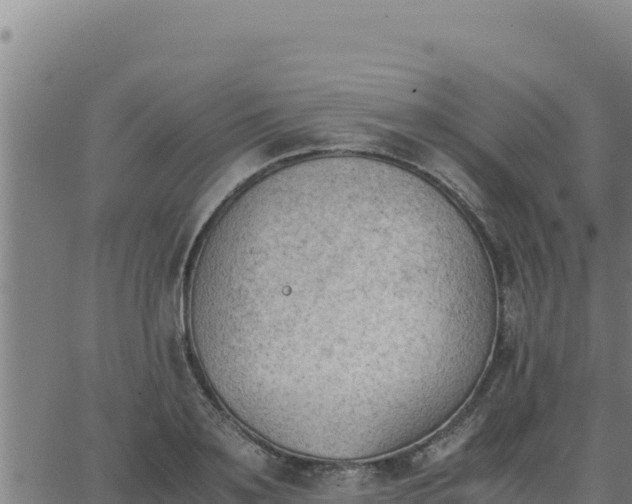 X0000062870891200601201751