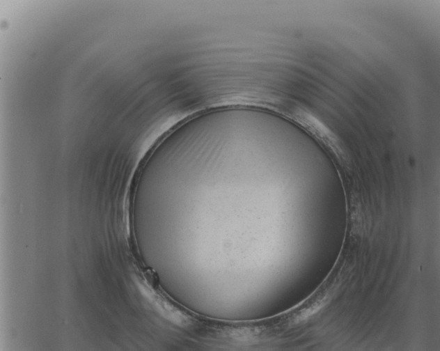 X0000062870892200601201751